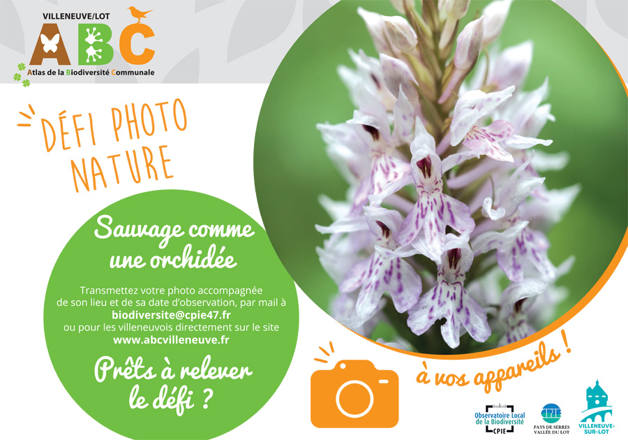 Sauvage comme une orchidée