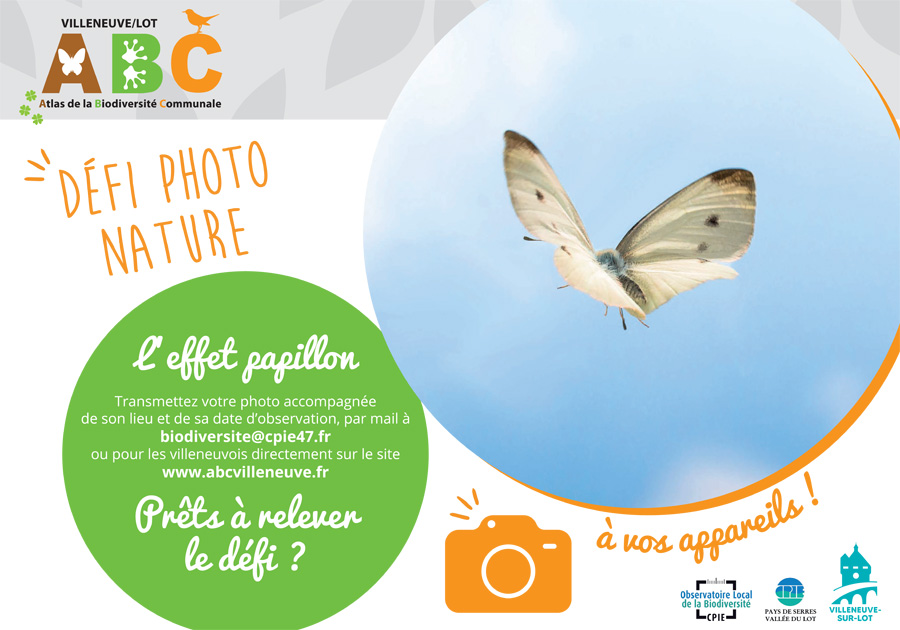 L'effet papillon