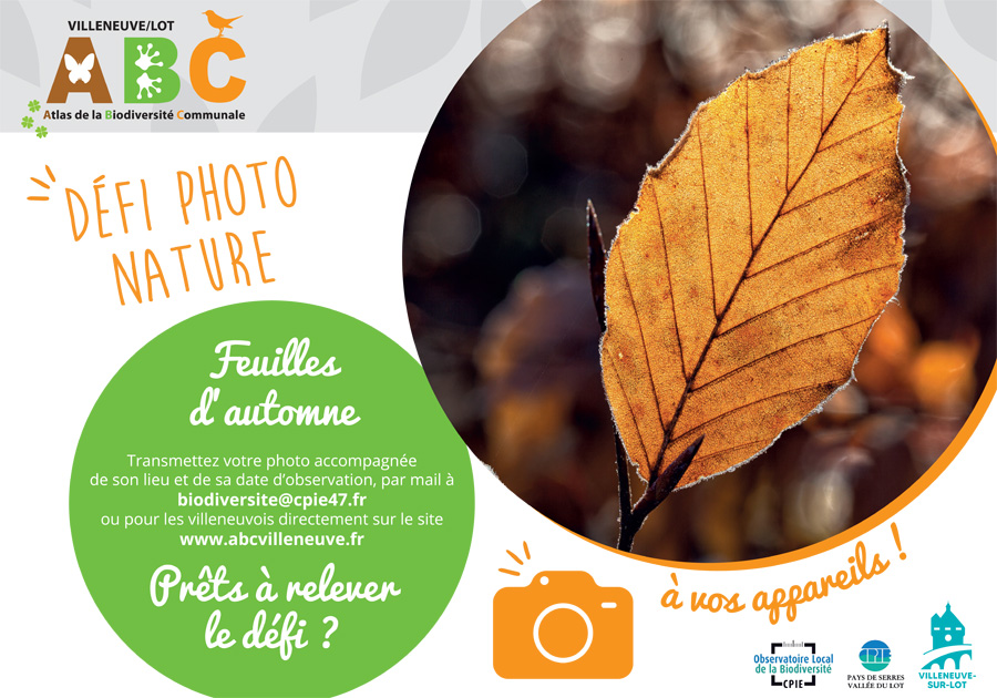 Feuilles d'automne