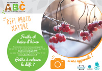 Fruits et baies d'hiver