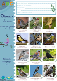 Fiche de comptage oiseaux 1