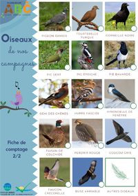 Fiche de comptage oiseaux 2