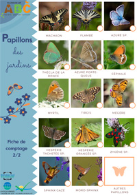 Papillons 2